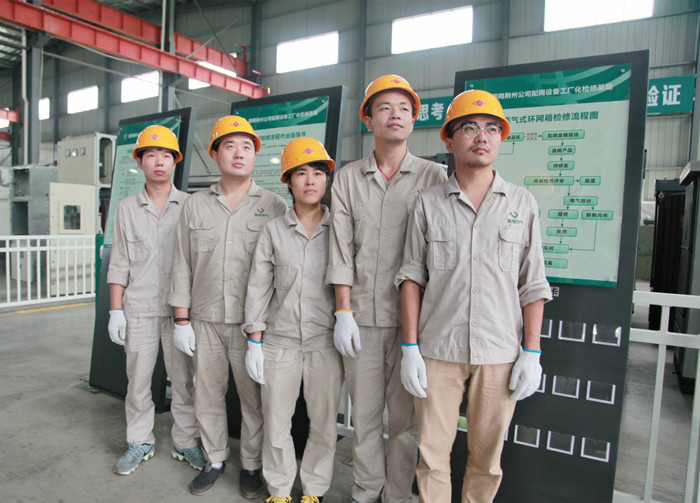 紫電電氣技術(shù)服務團隊