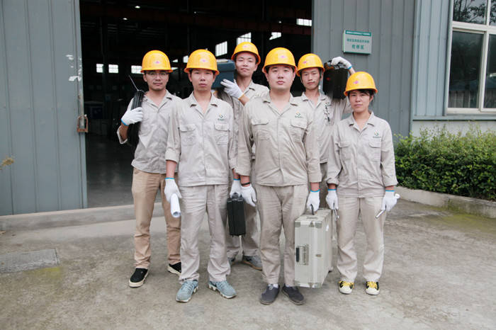 紫電電氣技術(shù)服務團隊